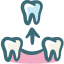 Wisdom Tooth Extraction